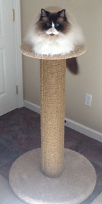 Bo on c36 round post