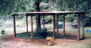 outdoor cat enclosure